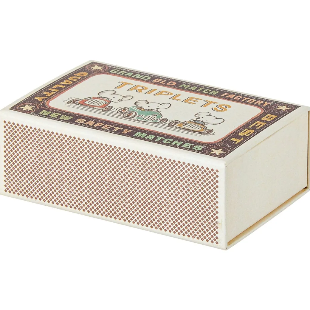 Baby Mice Triplets in a Matchbox