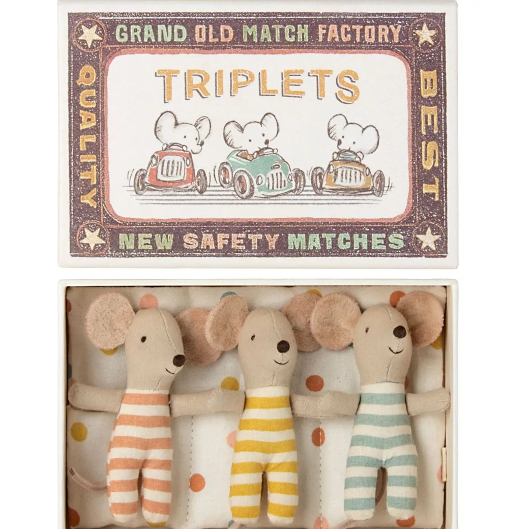 Baby Mice Triplets in a Matchbox