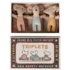 Baby Mice Triplets in a Matchbox