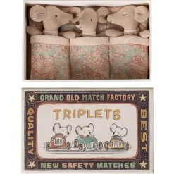 Baby Mice Triplets in a Matchbox