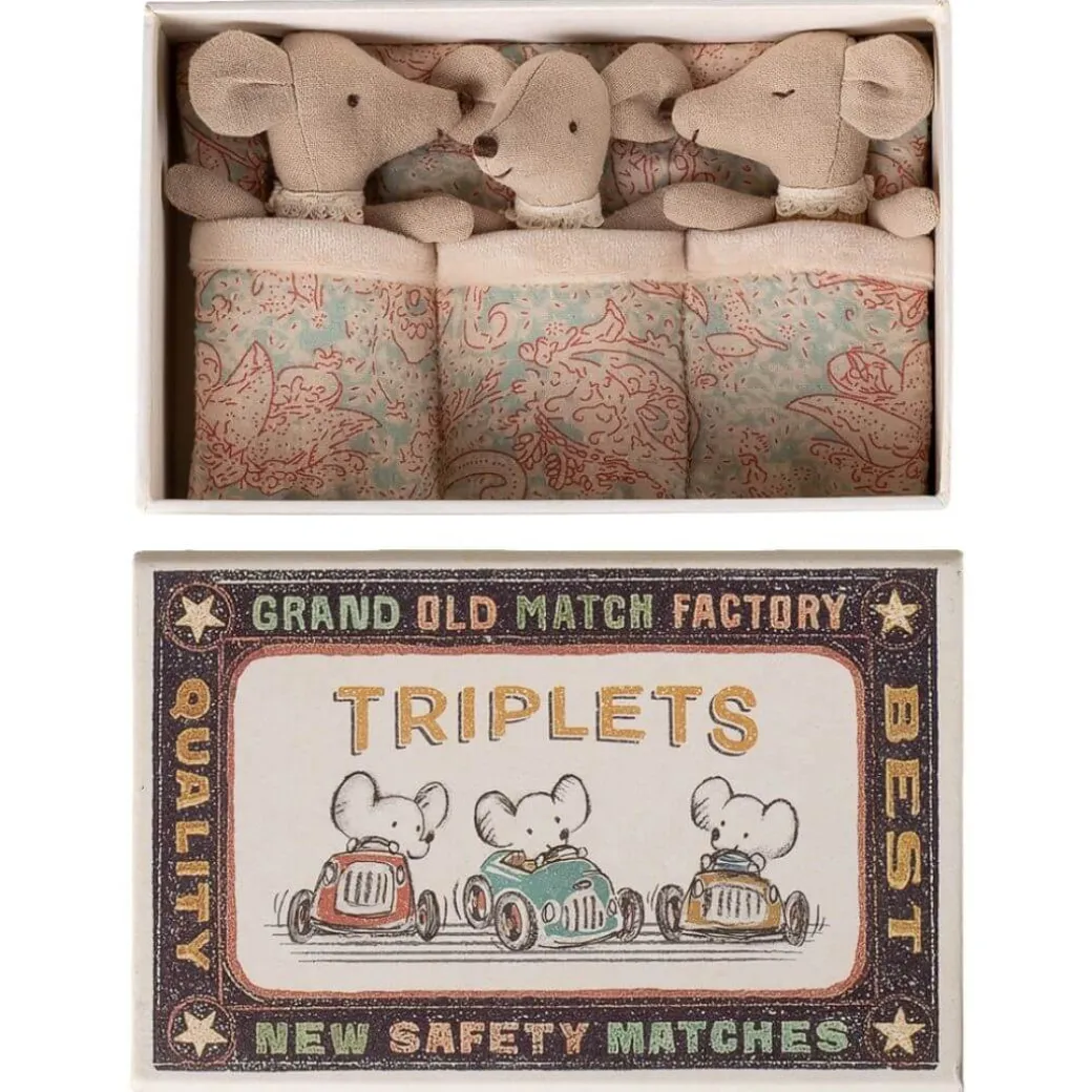 Baby Mice Triplets in a Matchbox