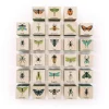 Bugs Wooden Alphabet Blocks