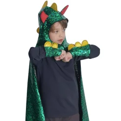 Dragon & Knight Reversible Costume