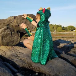 Dragon & Knight Reversible Costume