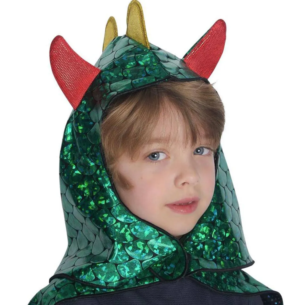 Dragon & Knight Reversible Costume
