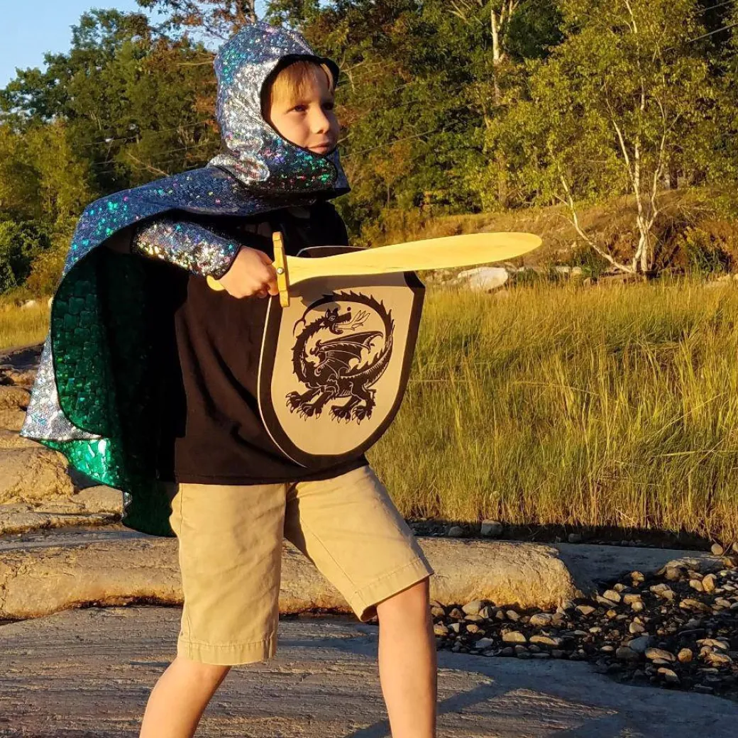 Dragon & Knight Reversible Costume