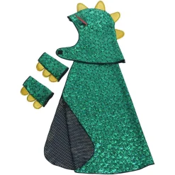 Dragon & Knight Reversible Costume