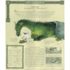 Dragonology: The Complete Book of Dragons by Dr. Ernest Drake