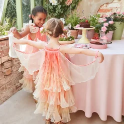 Fancy Fairy Costume