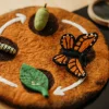 Felted Butterfly Life Stages Set with Playmat