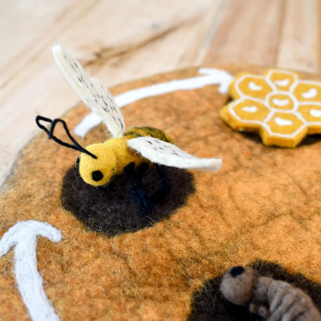 Felt Lifecycle of a Honey Bee