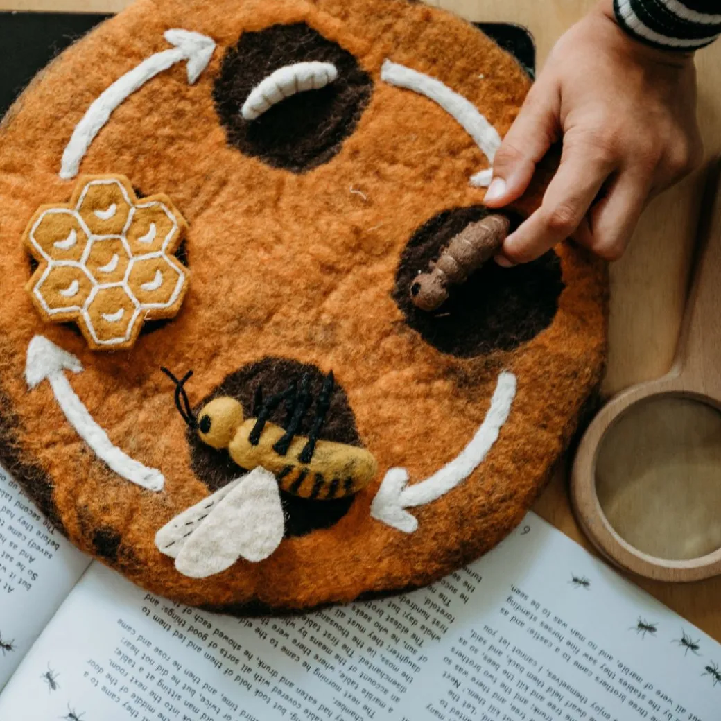Felt Lifecycle of a Honey Bee