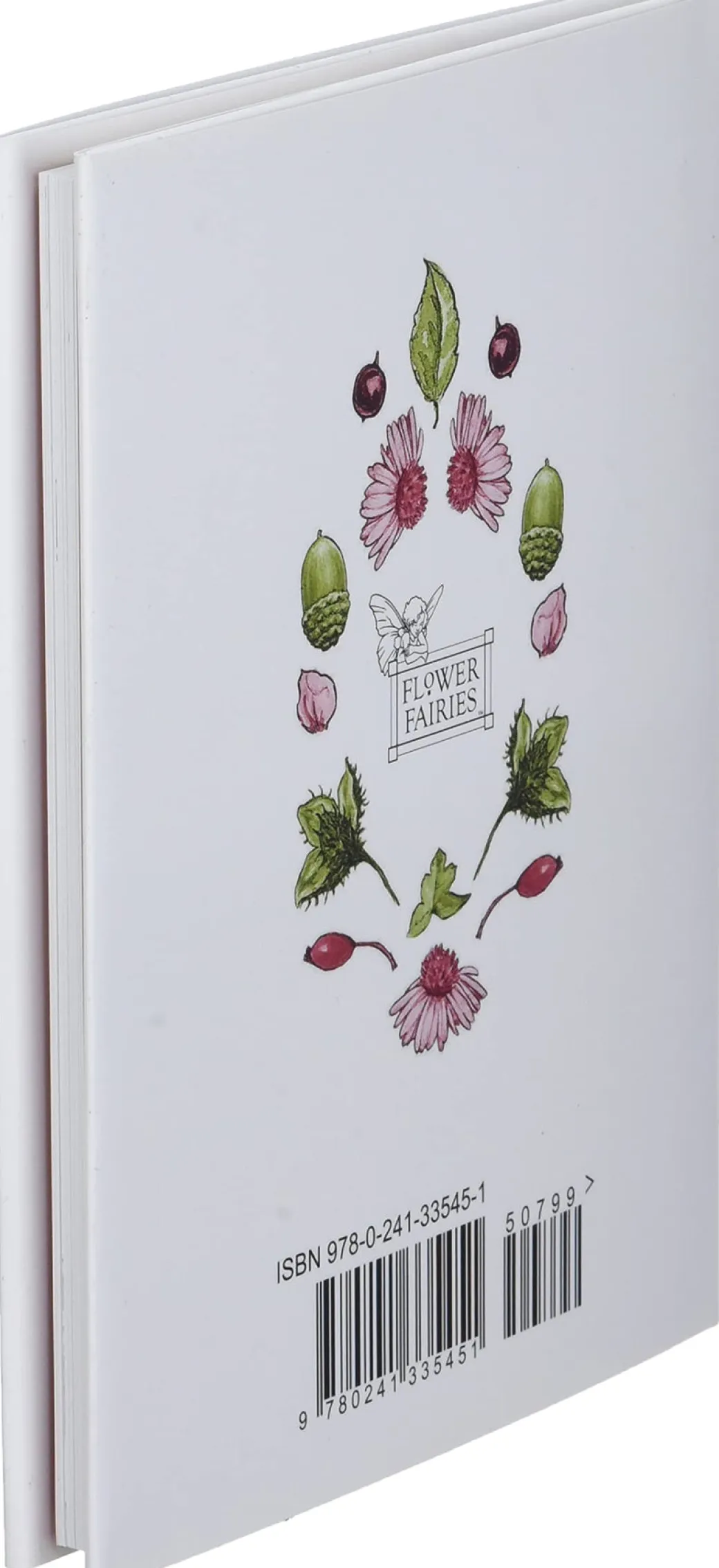Flower Fairies of the Autumn by Cicely Mary Barker