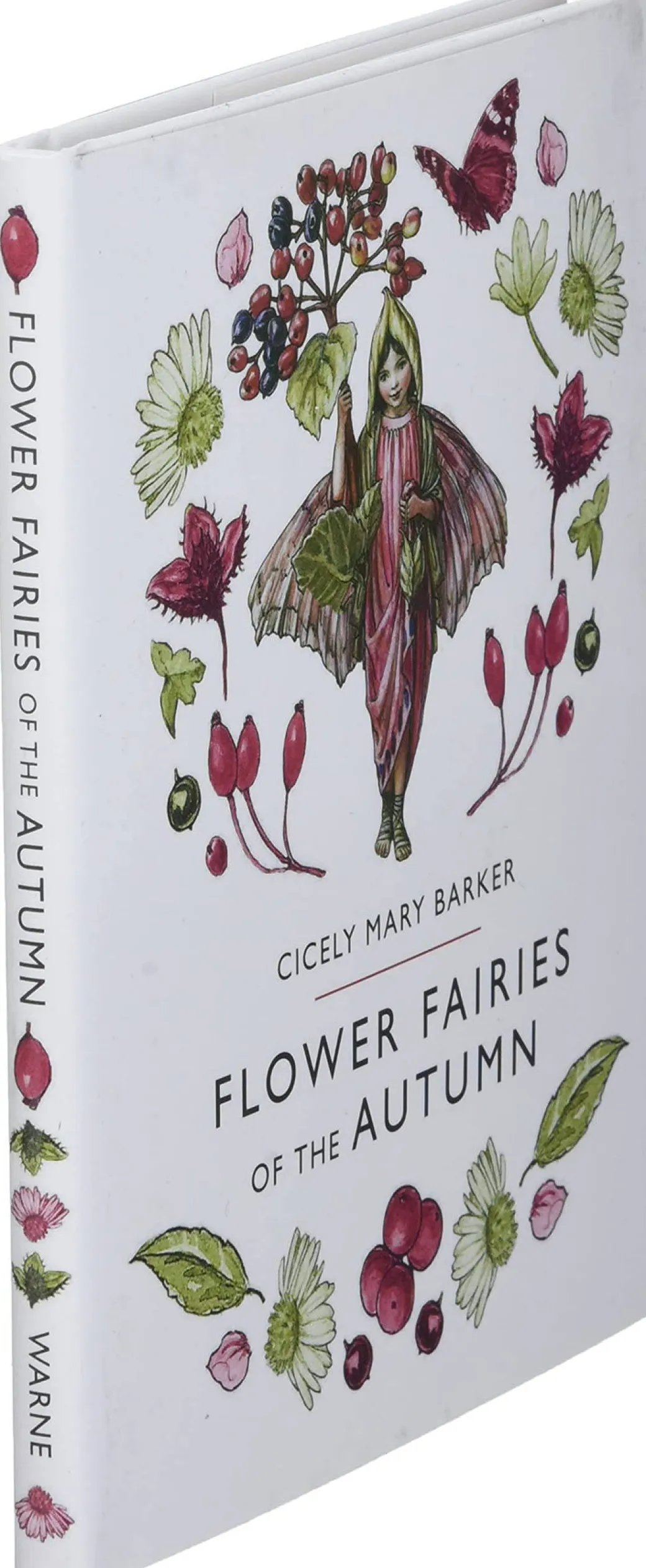 Flower Fairies of the Autumn by Cicely Mary Barker