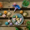 Flower Meadow Wooden Play Set