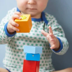 Fun with Sounds Wooden Discovery Blocks