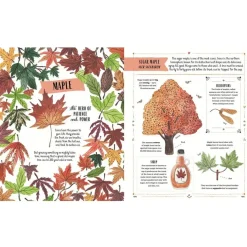 Grow: Family Guide to Plants and How To Grow Them