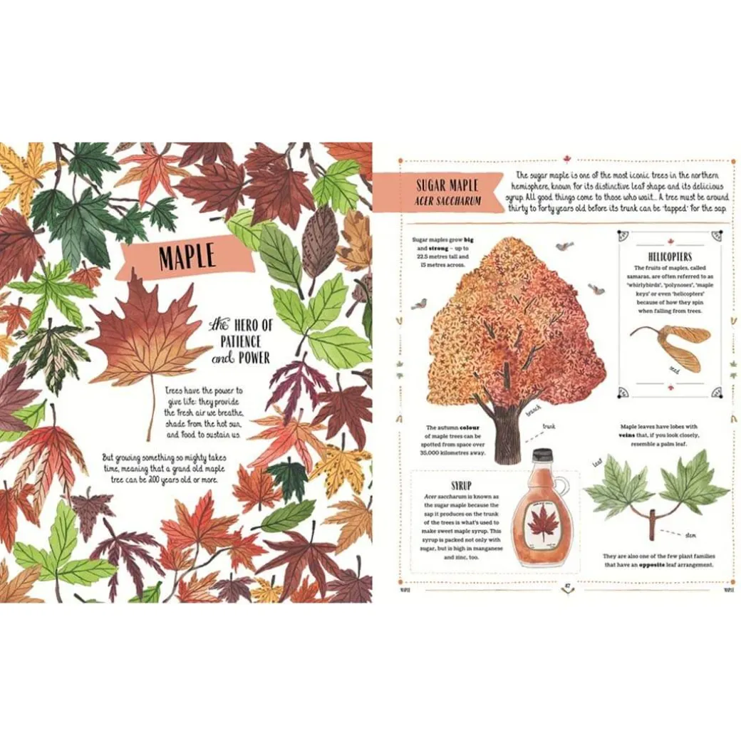 Grow: Family Guide to Plants and How To Grow Them