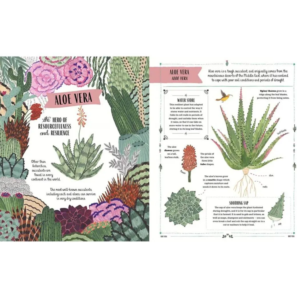 Grow: Family Guide to Plants and How To Grow Them
