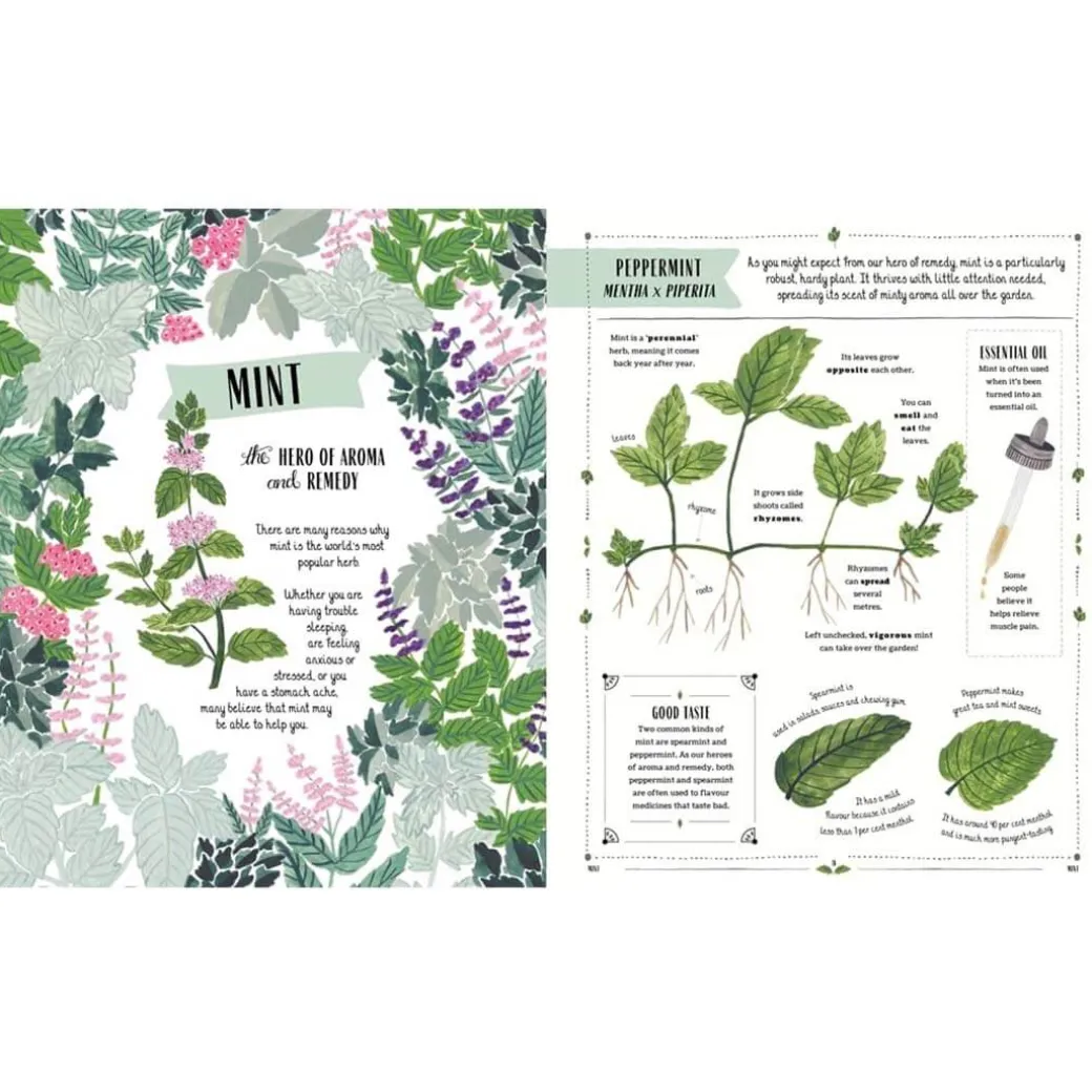 Grow: Family Guide to Plants and How To Grow Them