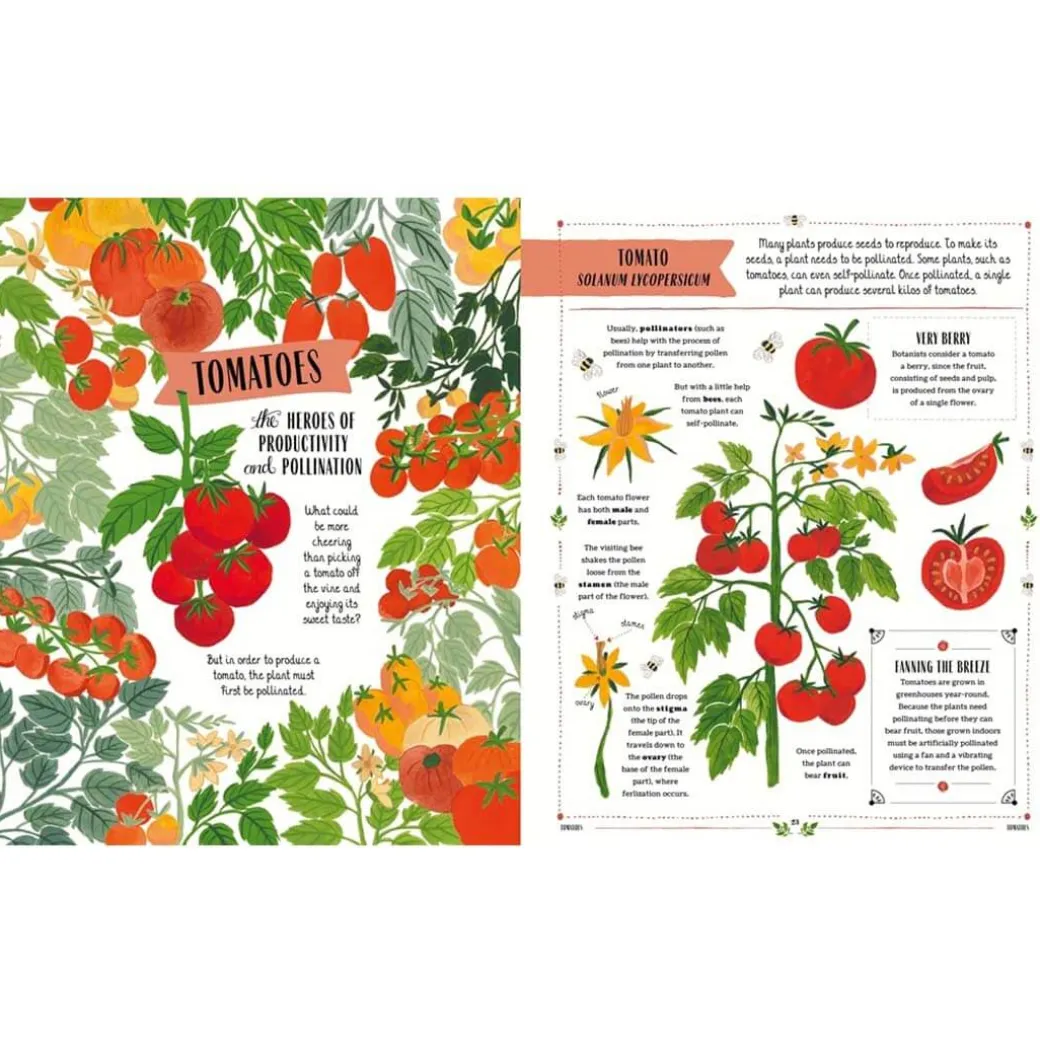Grow: Family Guide to Plants and How To Grow Them