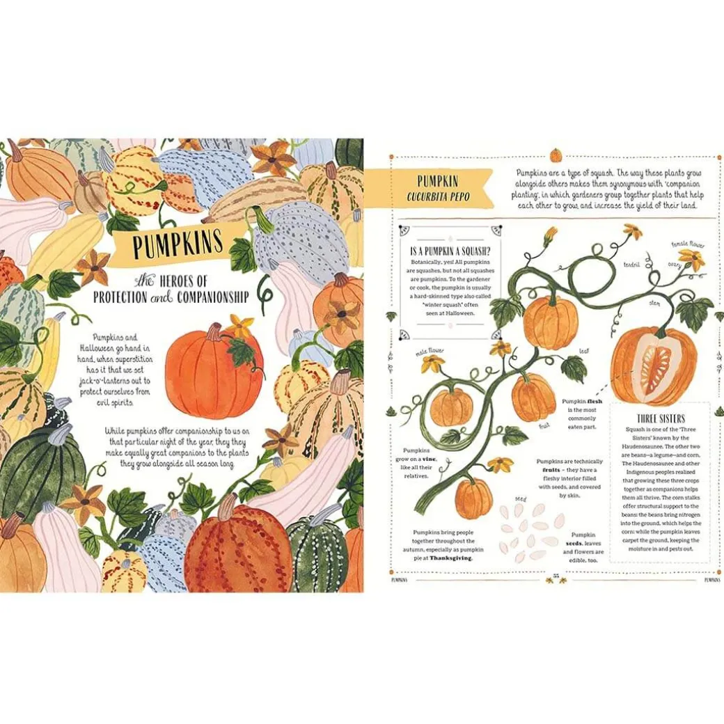 Grow: Family Guide to Plants and How To Grow Them