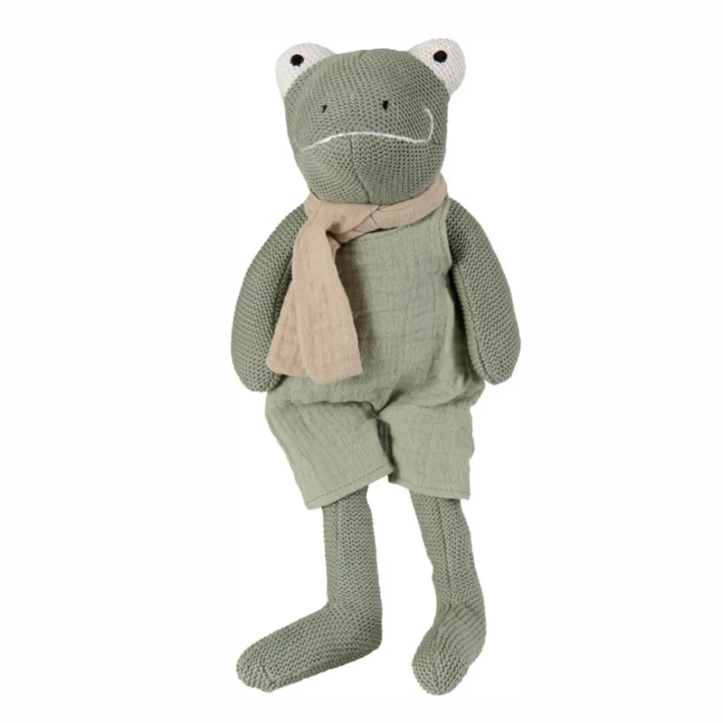 Jeremy the Frog