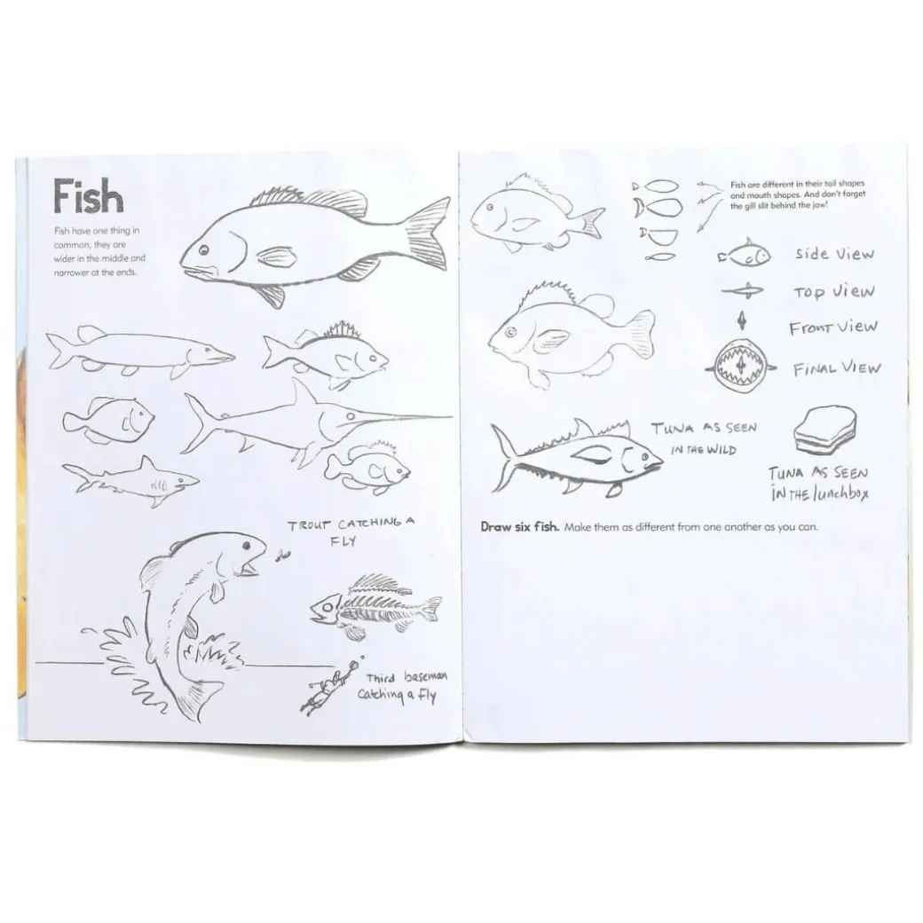 Learn To Draw Animals Art Book