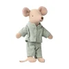 Little Brother Mouse in a Matchbox