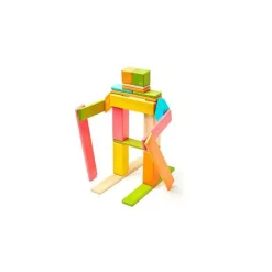 Magnetic Wooden Blocks - 24 Piece Set Tints