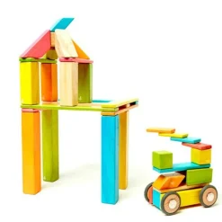 Magnetic Wooden Blocks - 42 Piece Set Tints