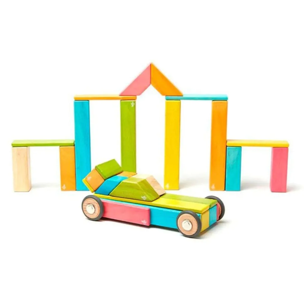 Magnetic Wooden Blocks - 42 Piece Set Tints