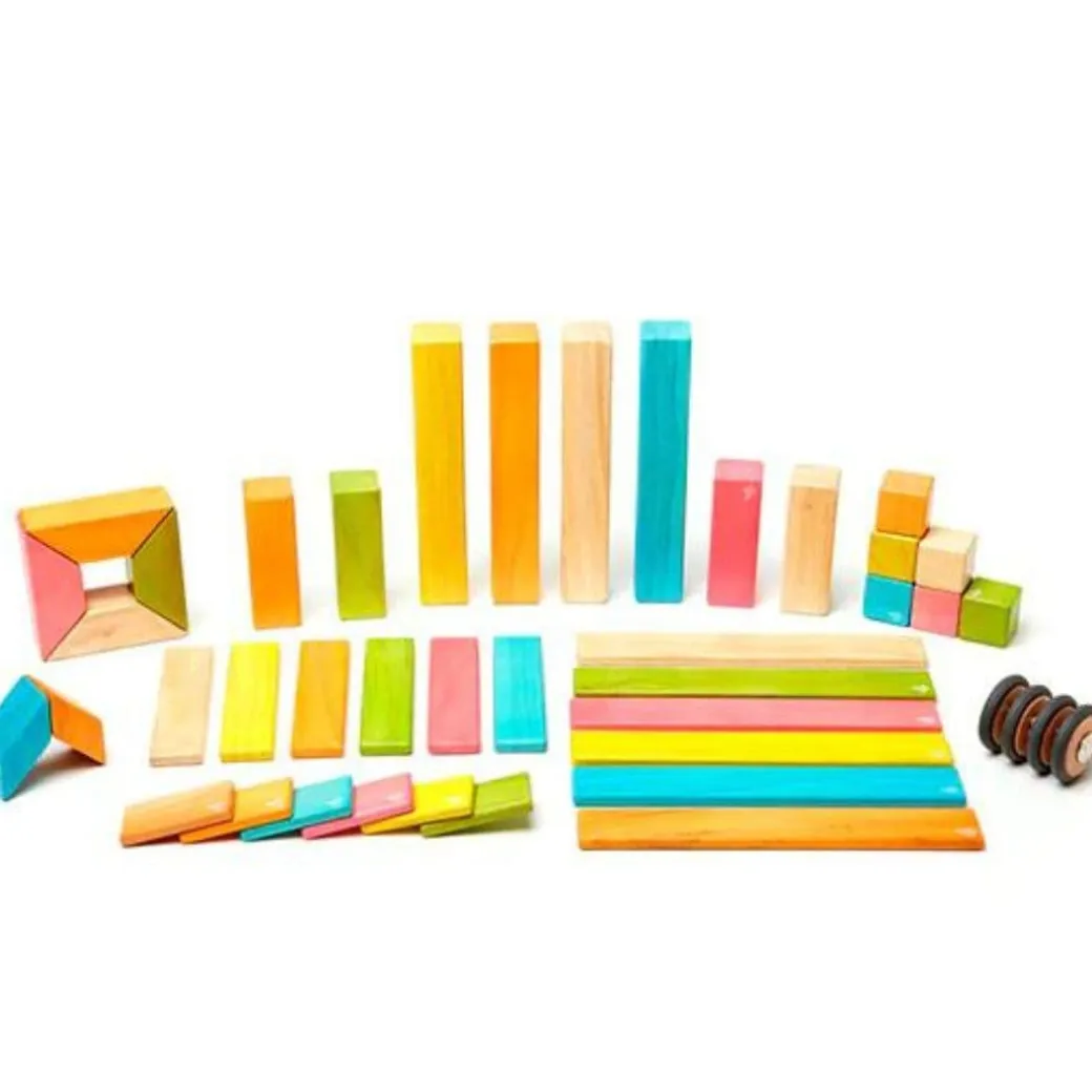 Magnetic Wooden Blocks - 42 Piece Set Tints