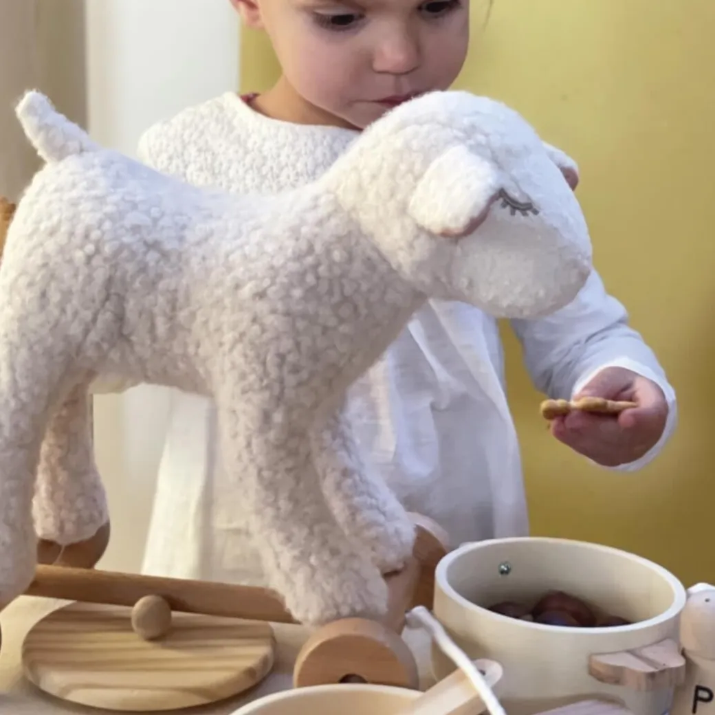 Mary the Lamb Pull-Along Toy