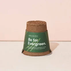 Modern Sprout One-For One Tree Kit