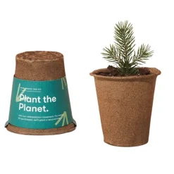Modern Sprout One-For One Tree Kit