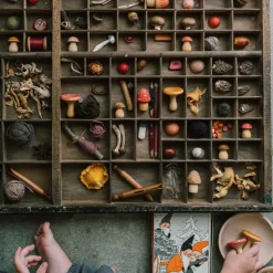 Mushroom Grove Wooden Play Set