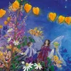 Night Light Transparency Set - Little Fairy Can't Sleep
