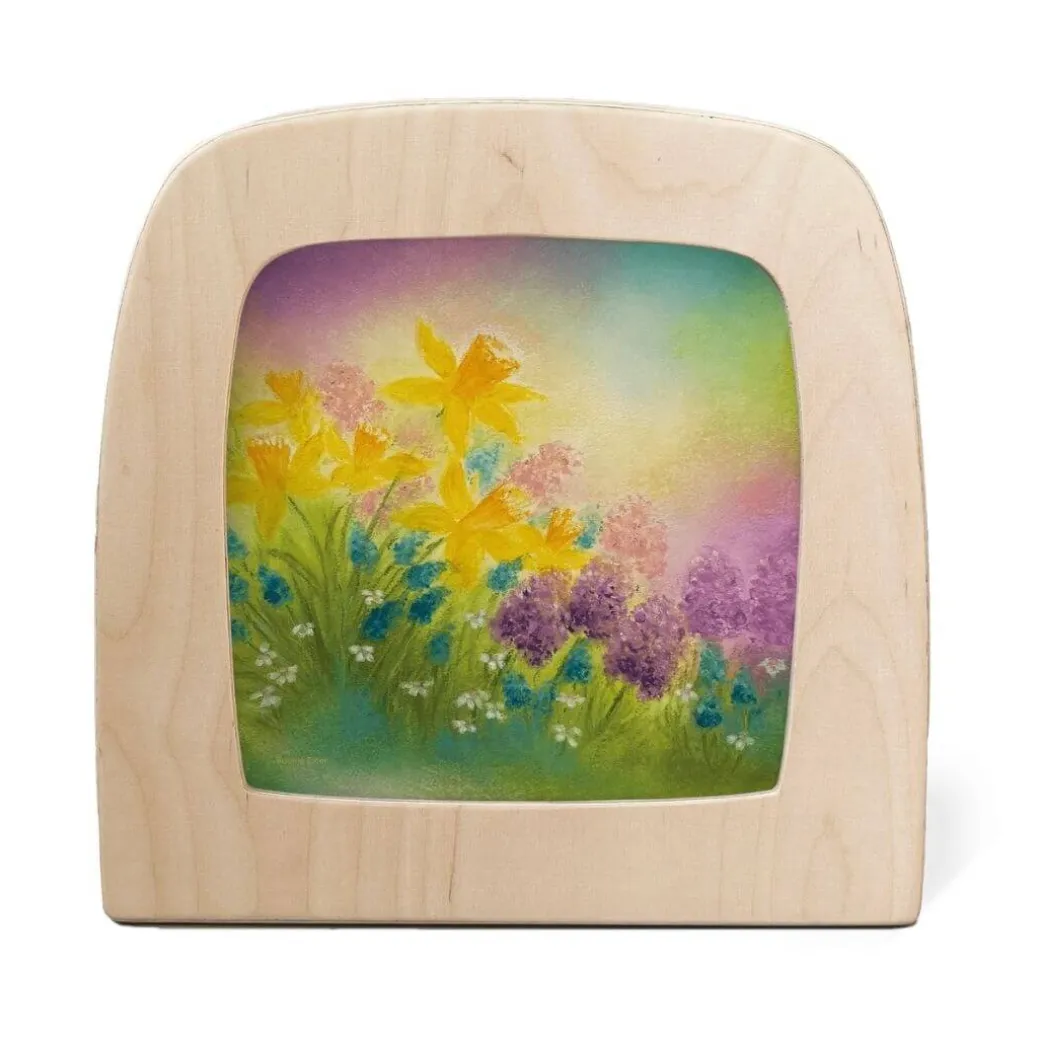 Night Light Transparency - Spring Collection