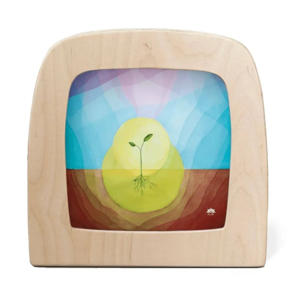 Night Light Transparency - Spring Collection