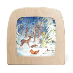 Night Light Transparency - Winter Collection