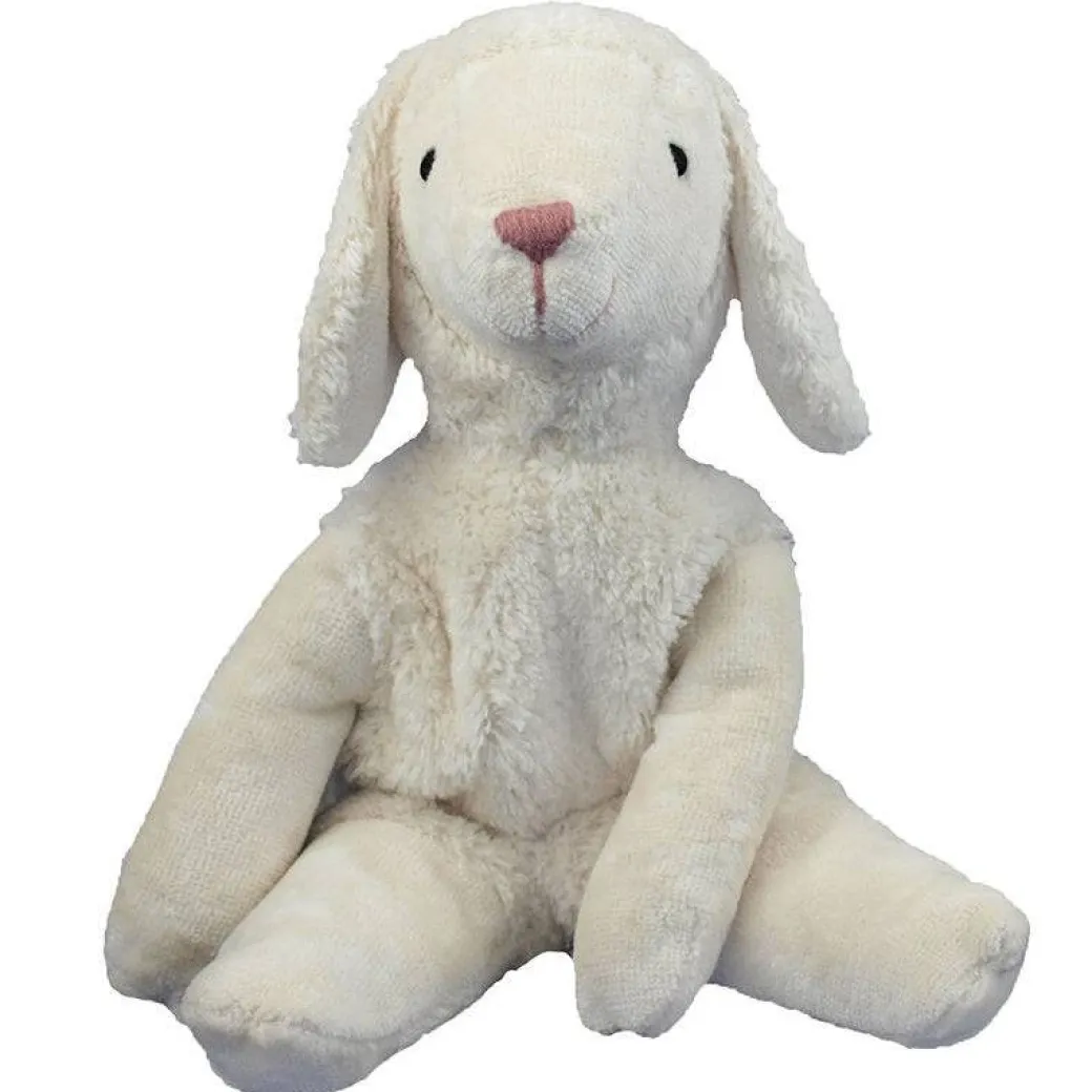 Organic Floppy Lamb