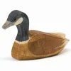 Ostheimer Canada Goose Swimming