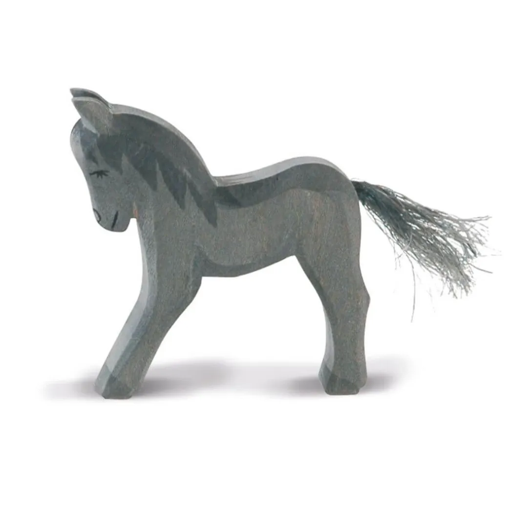 Ostheimer Charcoal Colt