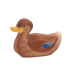 Ostheimer Duck, Swimming