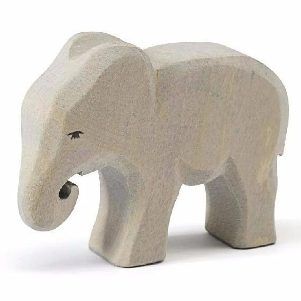 Ostheimer Elephant, Small, Eating