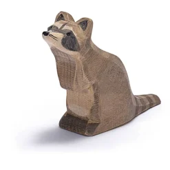 Ostheimer Raccoon, Sitting