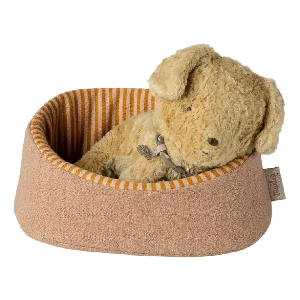 Pet Basket