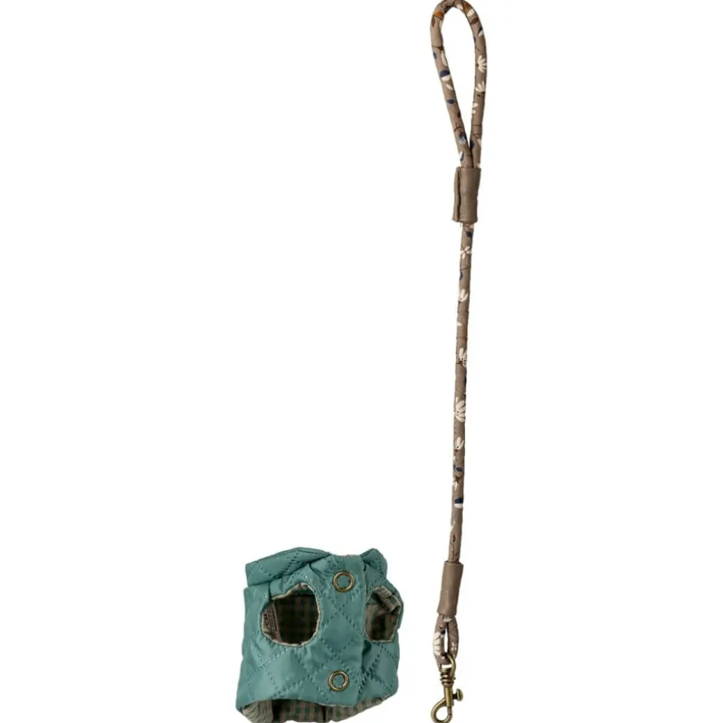 Pet Supply Essentials - Harness and Leash