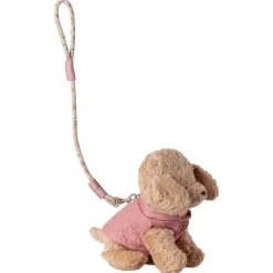 Pet Supply Essentials - Harness and Leash